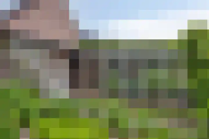 Empeldonk 11 Erp thumbnail 40