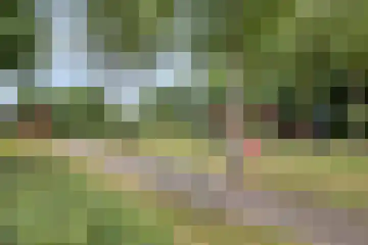 Empeldonk 11 Erp thumbnail 43