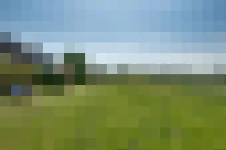 Empelsedijk 12 B 's-Hertogenbosch thumbnail 35
