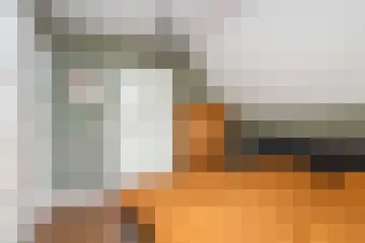 Emperweg 27 Empe thumbnail 26