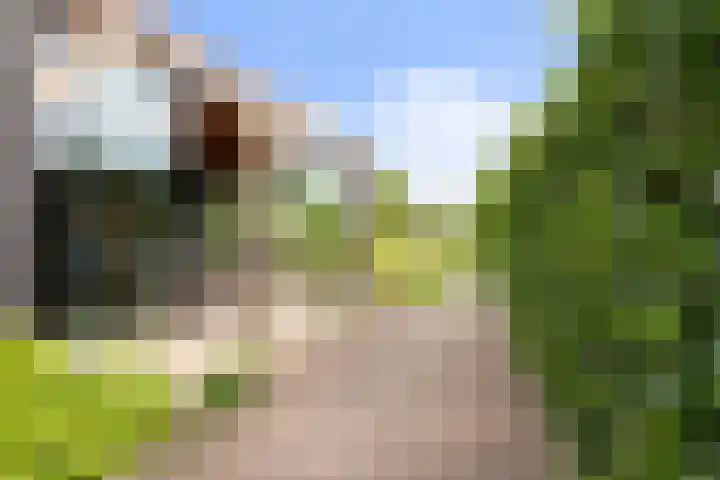 Emperweg 27 Empe thumbnail 38