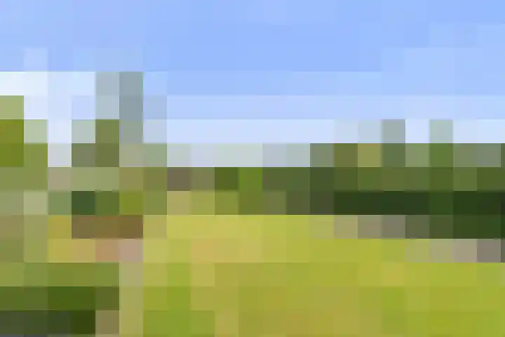 Emperweg 27 Empe thumbnail 4