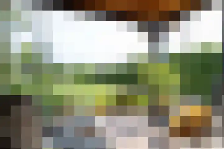 Emperweg 27 Empe thumbnail 40