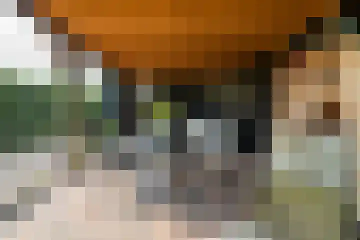 Emperweg 27 Empe thumbnail 42