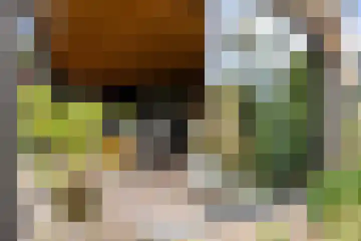 Emperweg 27 Empe thumbnail 44