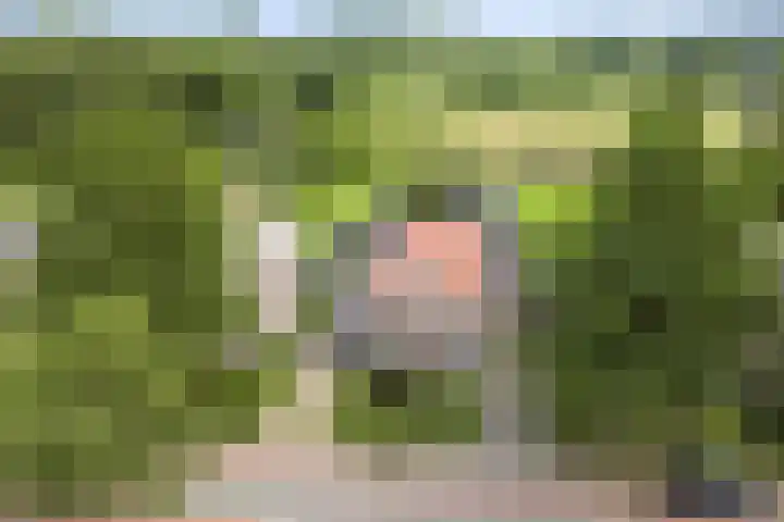 Emperweg 27 Empe thumbnail 5