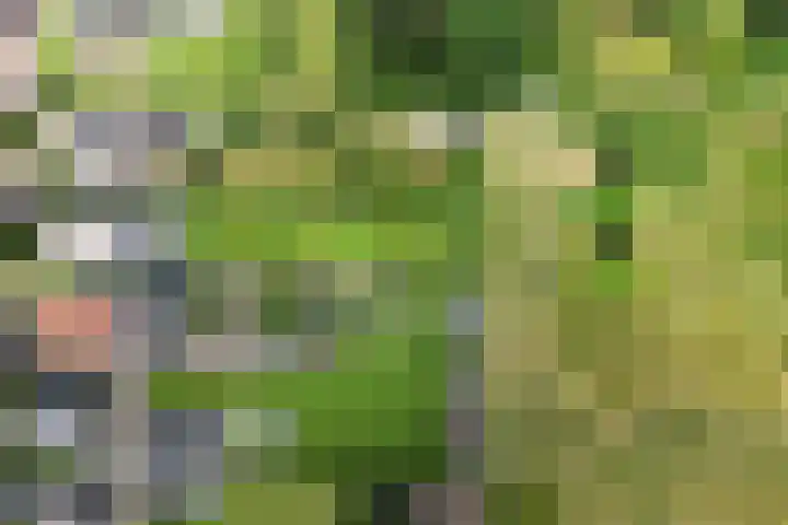 Emperweg 27 Empe thumbnail 54