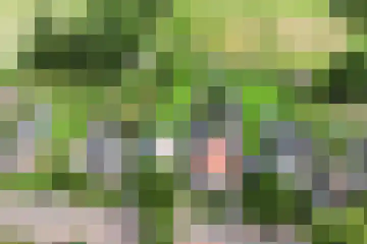 Emperweg 27 Empe thumbnail 55