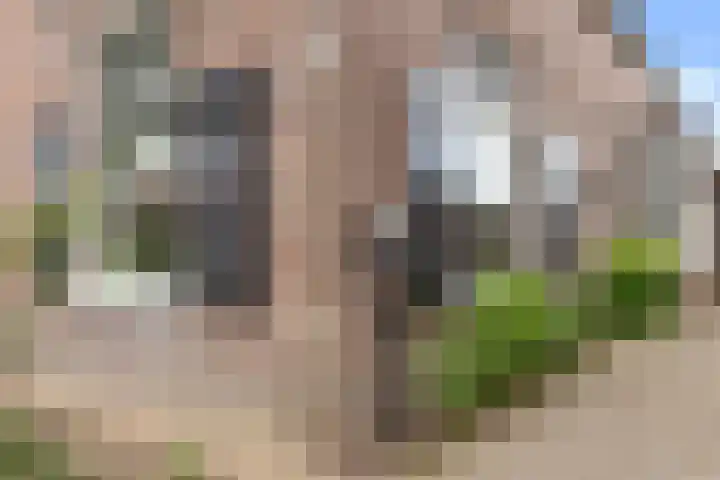 Emperweg 27 Empe thumbnail 6