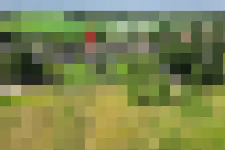 Emperweg 27 Empe thumbnail 64