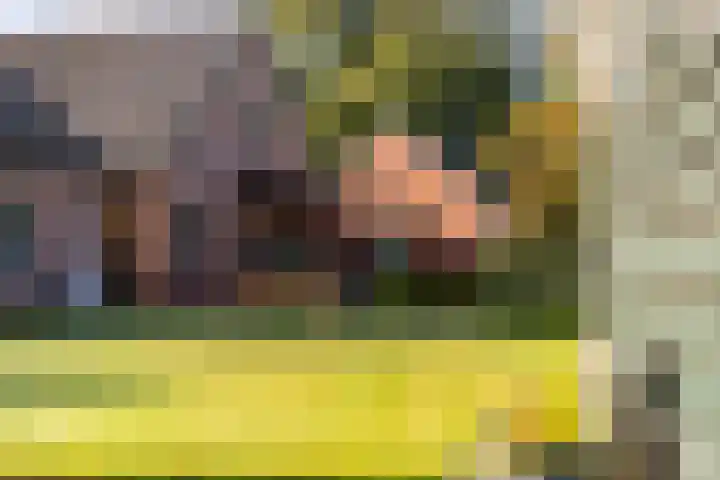 Emperweg 62 Empe thumbnail 33