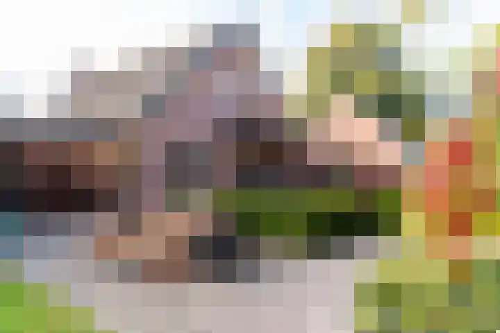 Emperweg 62 Empe thumbnail 35