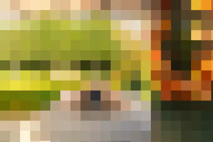 Emperweg 62 Empe thumbnail 36