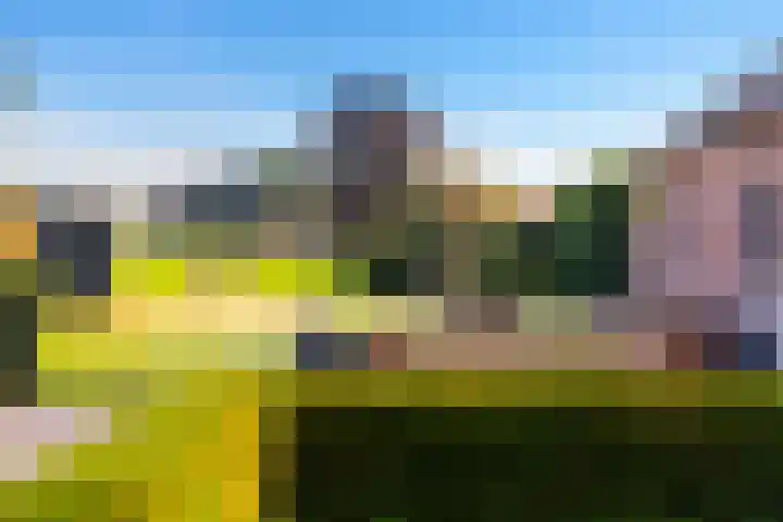 Emperweg 62 Empe thumbnail 37