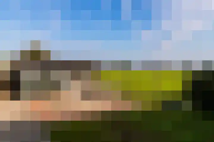 Emperweg 62 Empe thumbnail 38