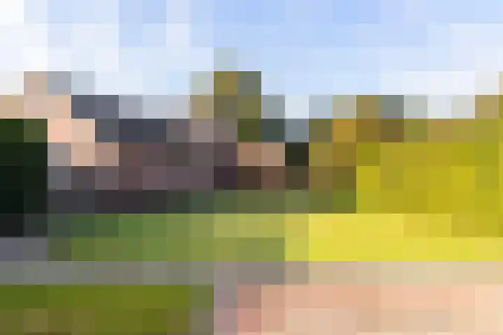 Emperweg 62 Empe thumbnail 39
