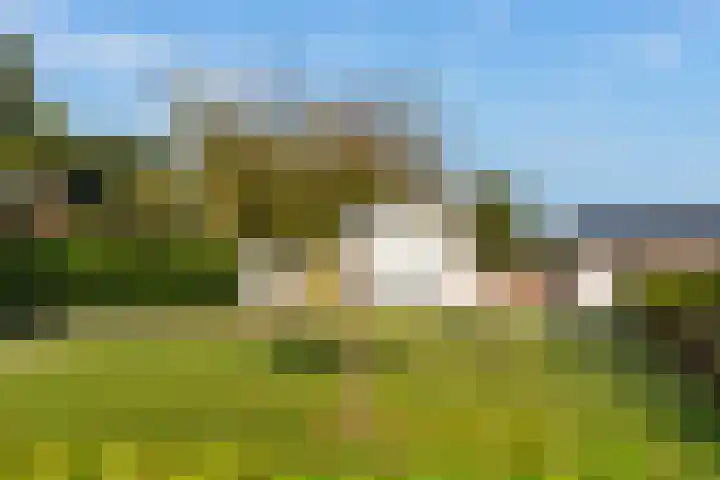 Emperweg 62 Empe thumbnail 41
