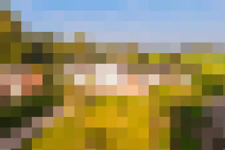Emperweg 62 Empe thumbnail 43