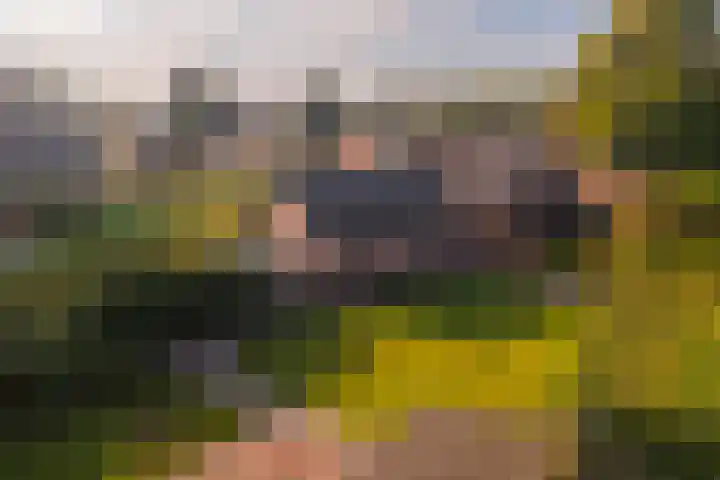 Emperweg 62 Empe thumbnail 44
