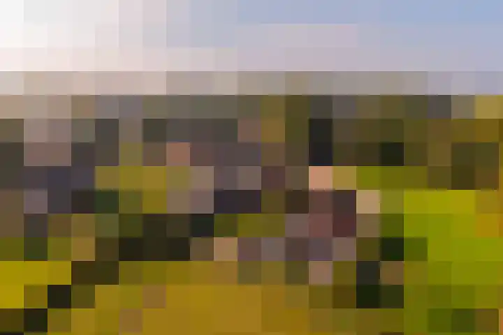 Emperweg 62 Empe thumbnail 45