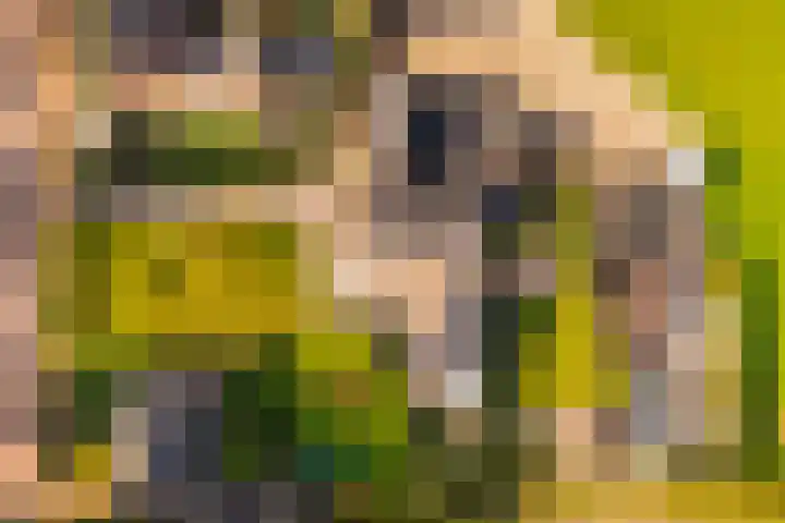 Emperweg 62 Empe thumbnail 46