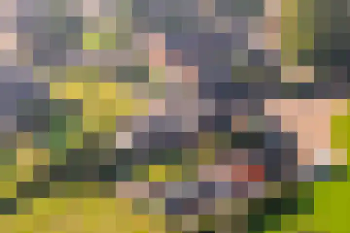 Emperweg 62 Empe thumbnail 47