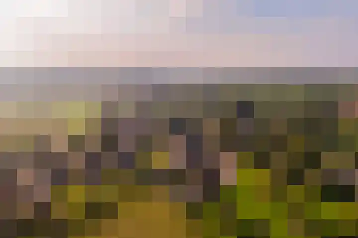 Emperweg 62 Empe thumbnail 48