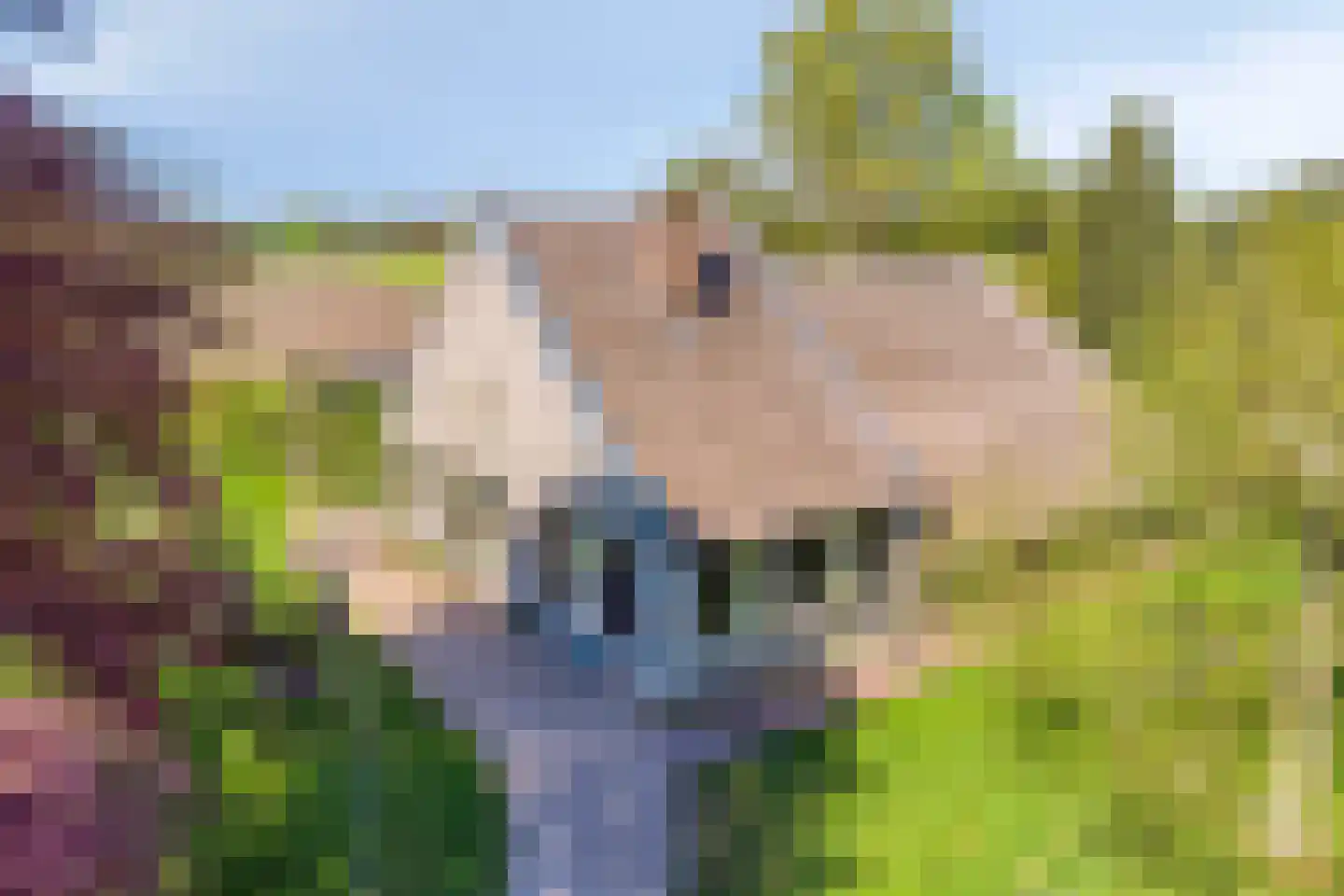 Emperweg 84 Empe thumbnail 101