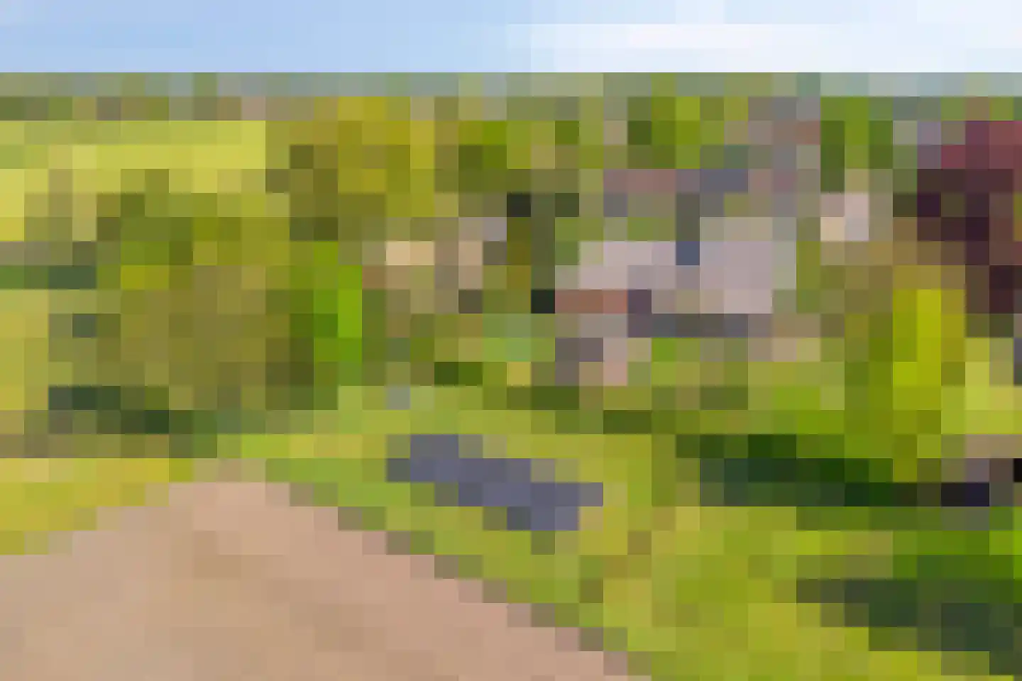 Emperweg 84 Empe thumbnail 106
