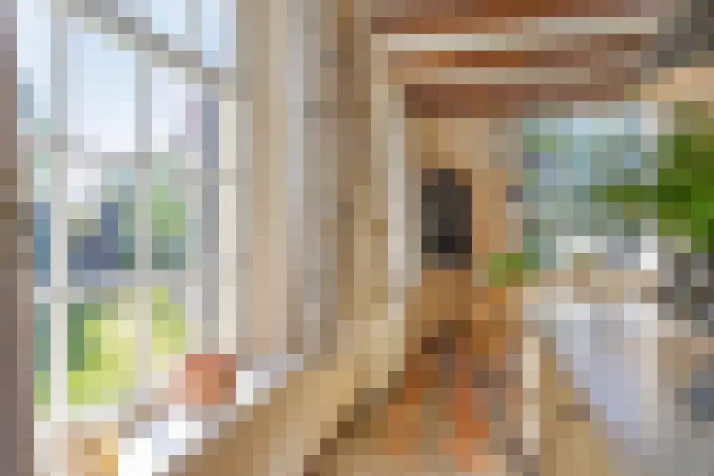Emperweg 84 Empe thumbnail 20
