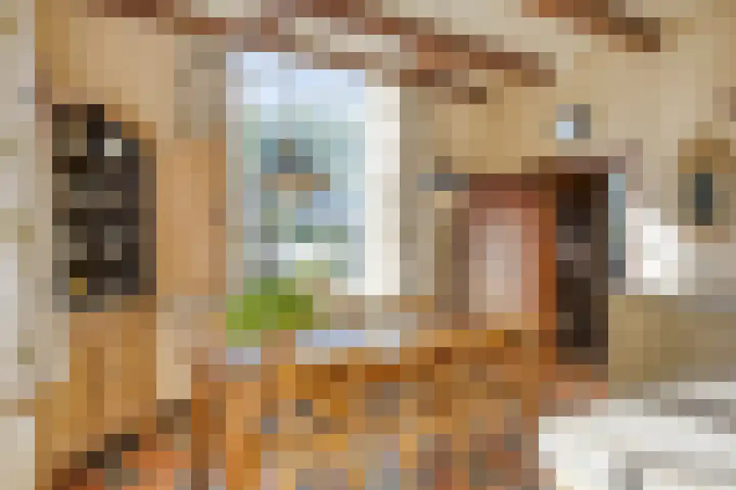 Emperweg 84 Empe thumbnail 21