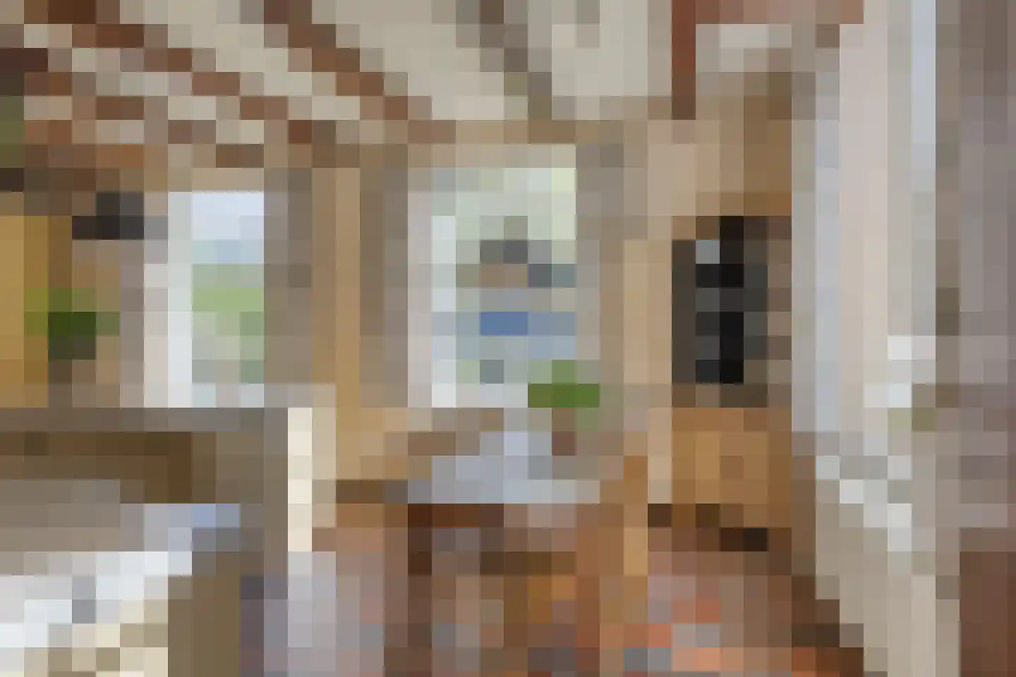 Emperweg 84 Empe thumbnail 24