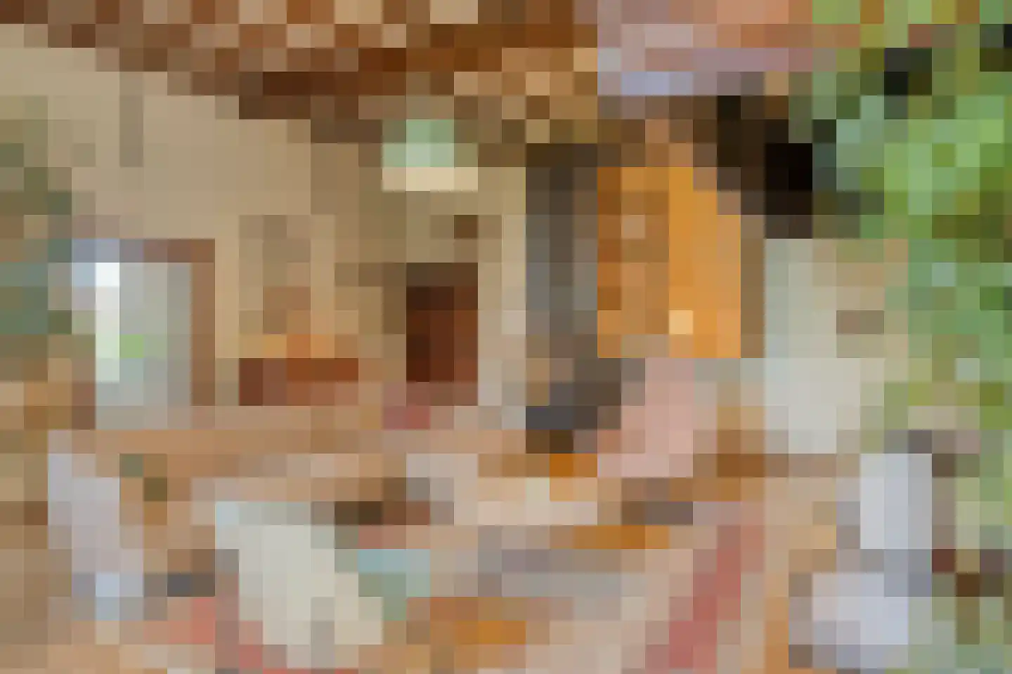 Emperweg 84 Empe thumbnail 30