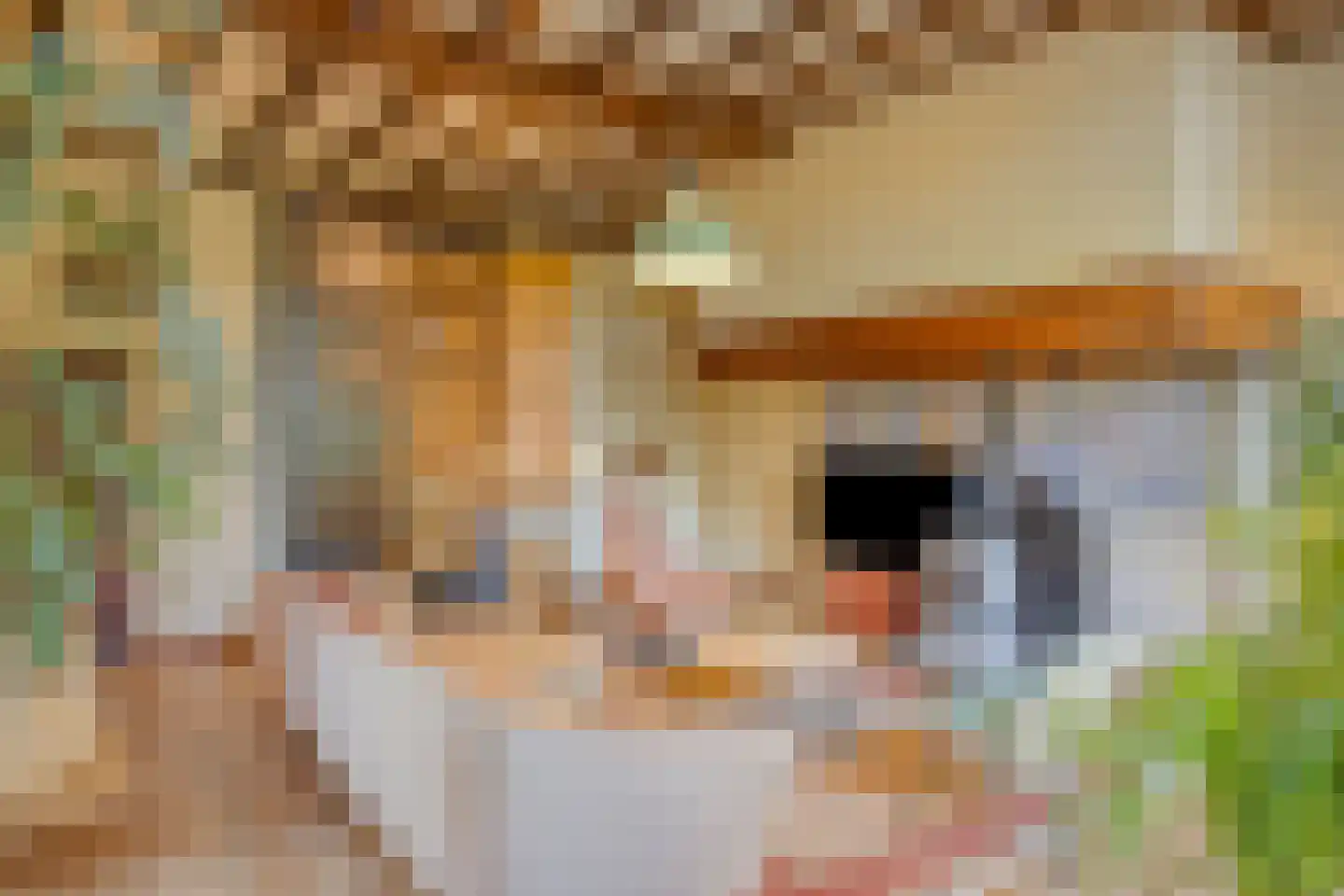 Emperweg 84 Empe thumbnail 31