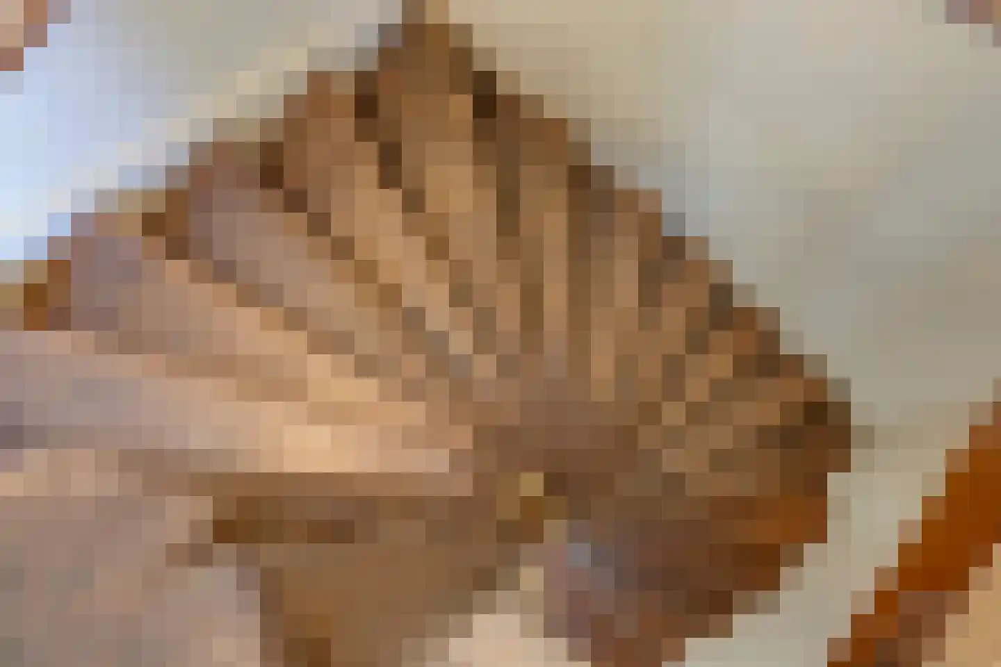 Emperweg 84 Empe thumbnail 63