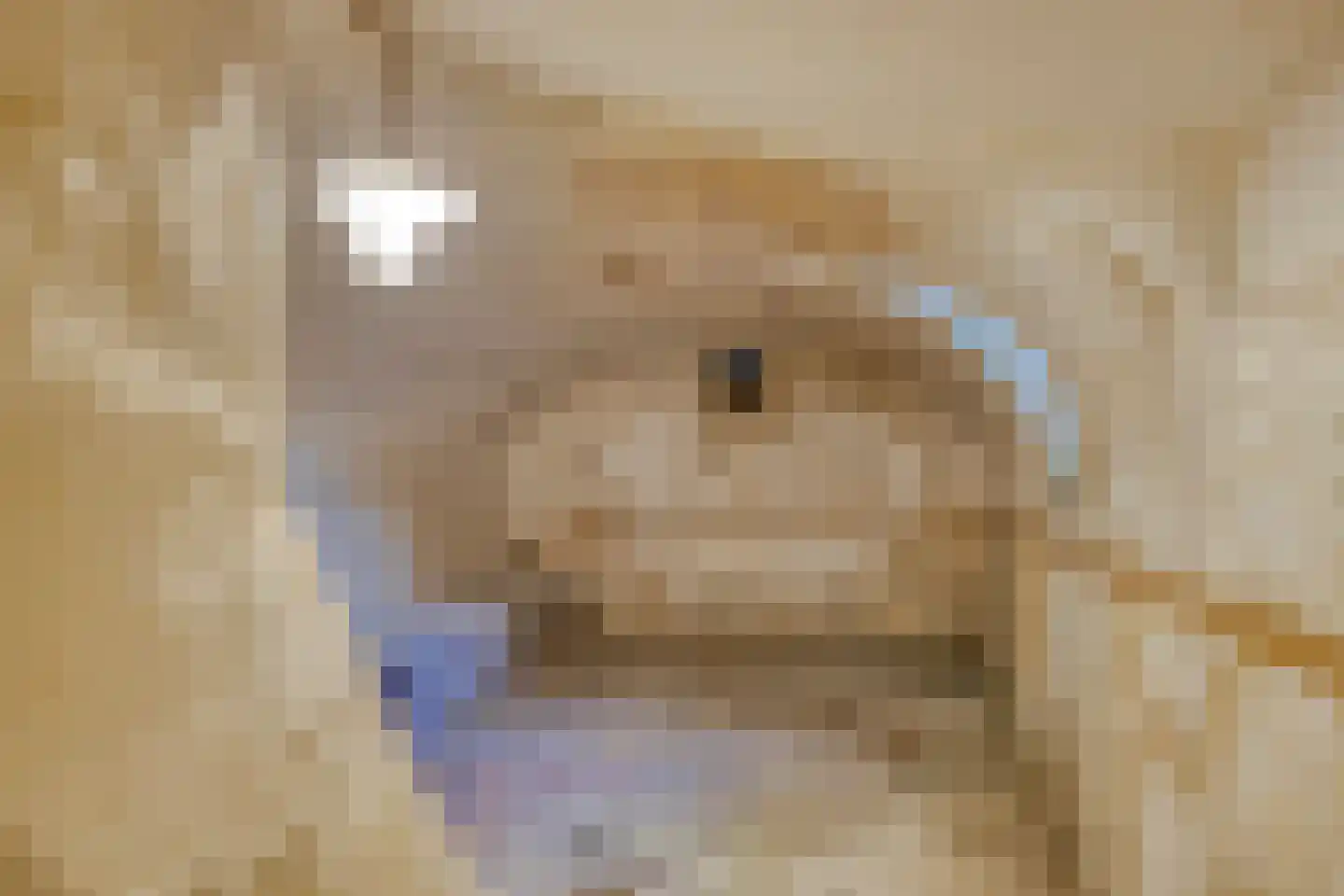 Emperweg 84 Empe thumbnail 69