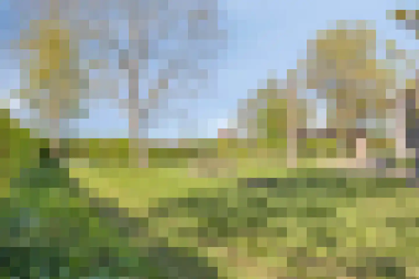 Emperweg 84 Empe thumbnail 74