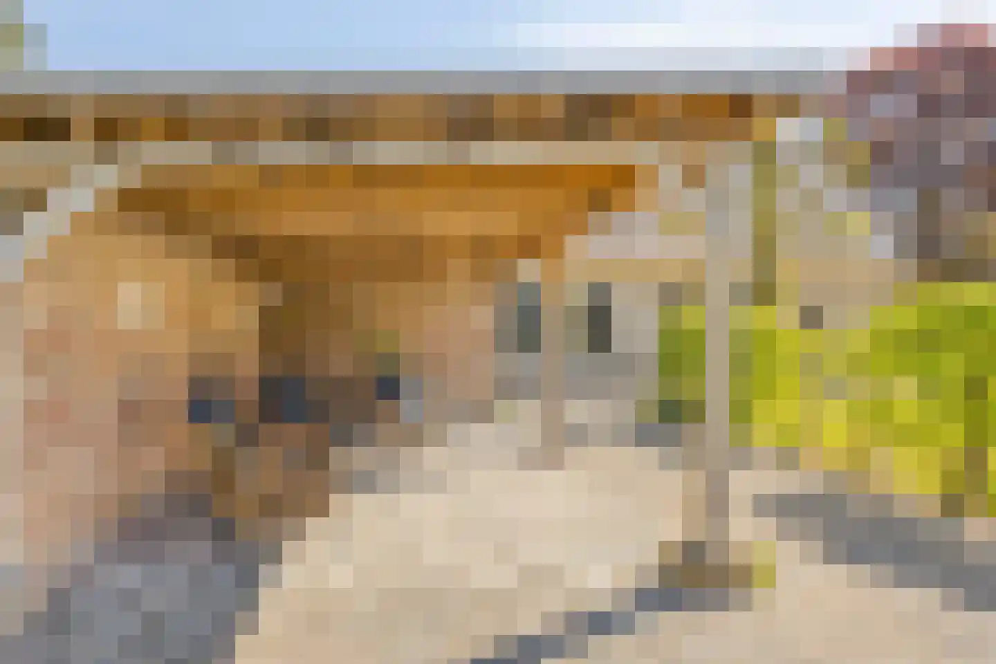 Emperweg 84 Empe thumbnail 81