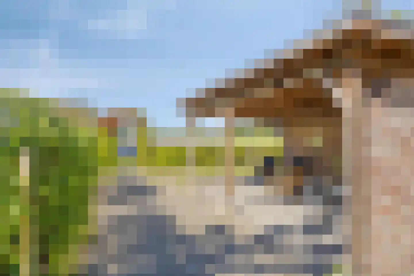 Emperweg 84 Empe thumbnail 86