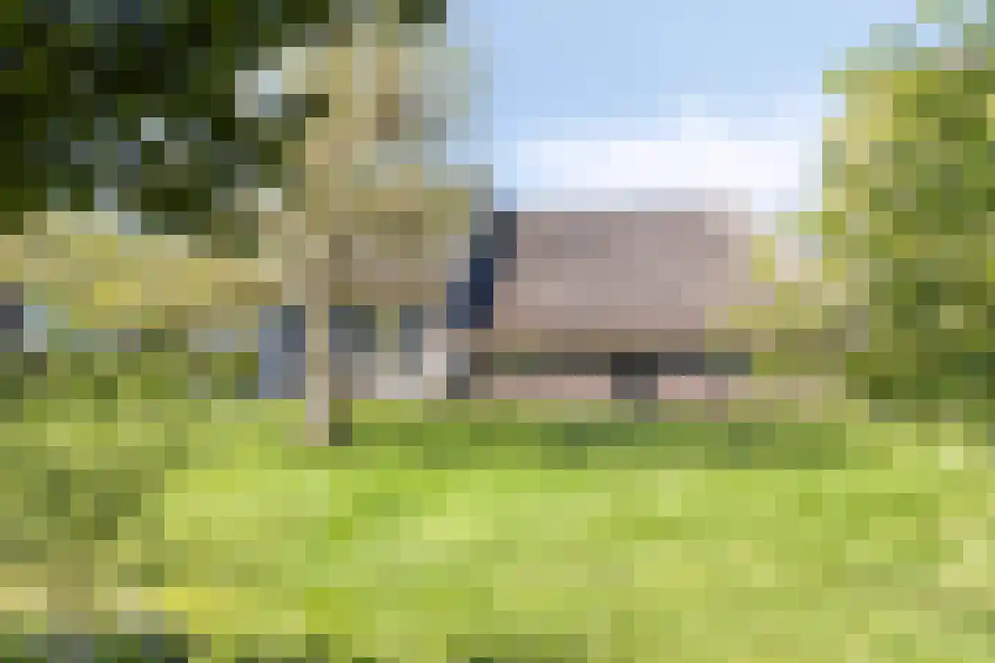 Emperweg 84 Empe thumbnail 9