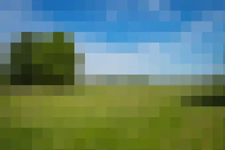 Emperweg 90 Empe thumbnail 43
