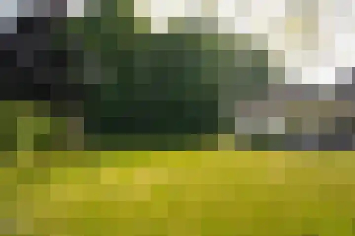 Emperweg 90 Empe thumbnail 49