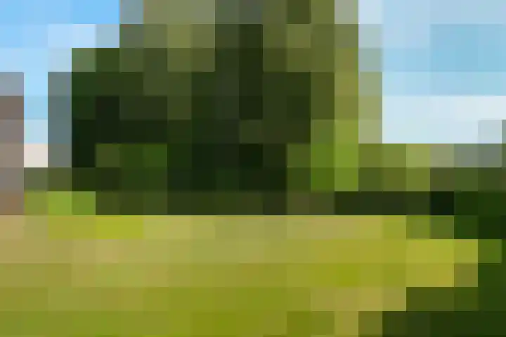 Emperweg 90 Empe thumbnail 55