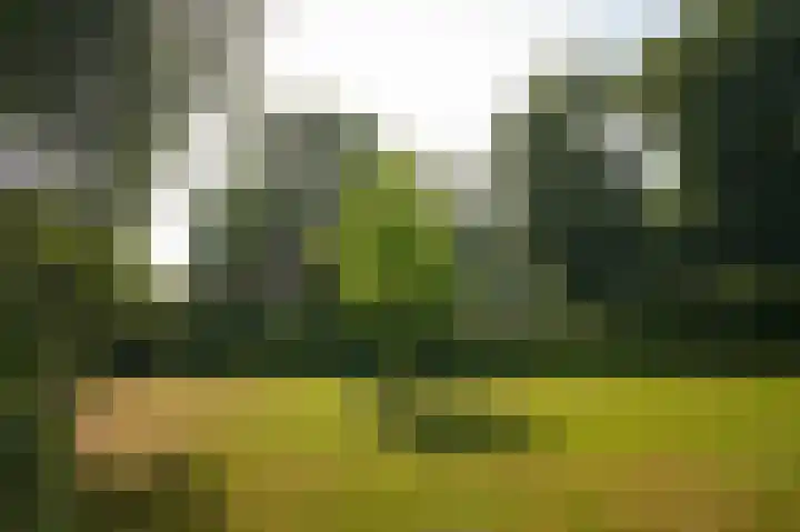 Emperweg 90 Empe thumbnail 56