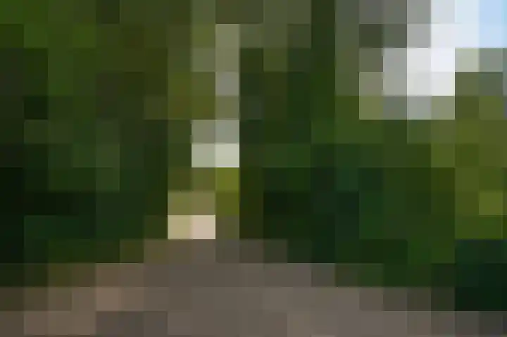 Emperweg 90 Empe thumbnail 58
