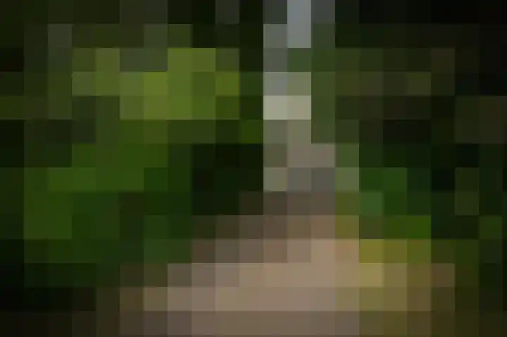 Emperweg 90 Empe thumbnail 59