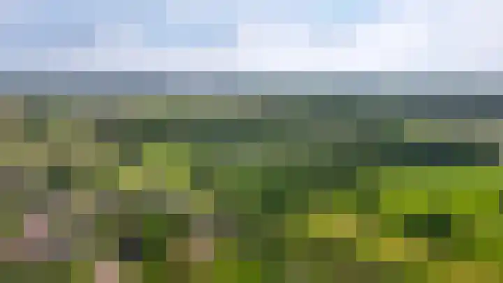Emperweg 90 Empe thumbnail 65