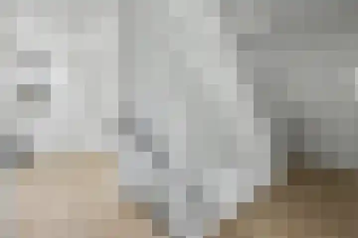 Emsdettenplein 1 Hengelo thumbnail 20