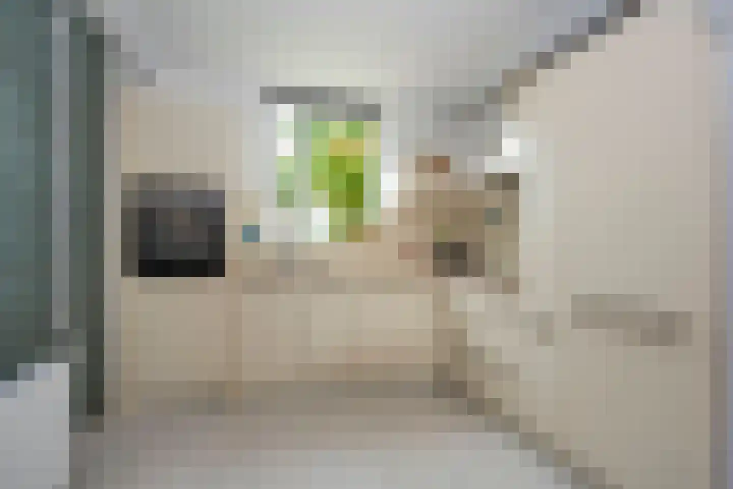 Emsdettenplein 13 Hengelo thumbnail 12