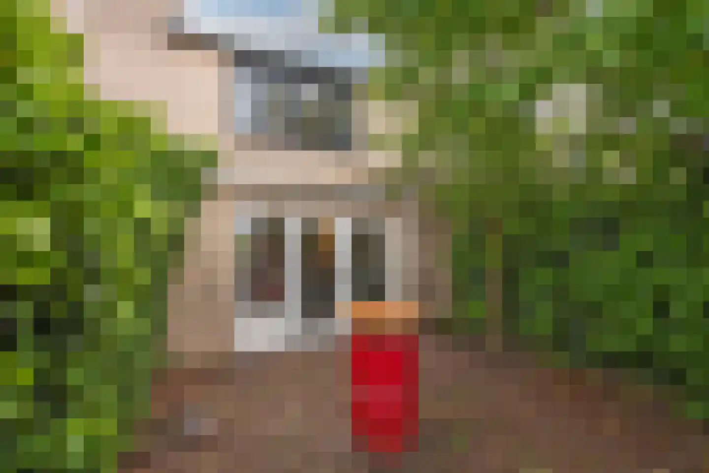 Emsdettenplein 13 Hengelo thumbnail 24